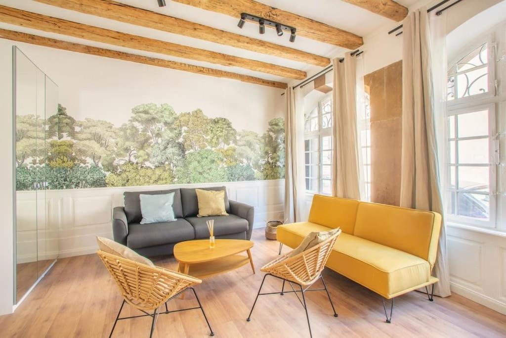 Appartement La Halte Strasbourgeoise - Superbe Appt Pres De La Petite France Extérieur photo